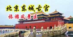 8x8x操B操中国北京-东城古宫旅游风景区